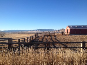 Marci's phone pics and videos April 29 2015 014