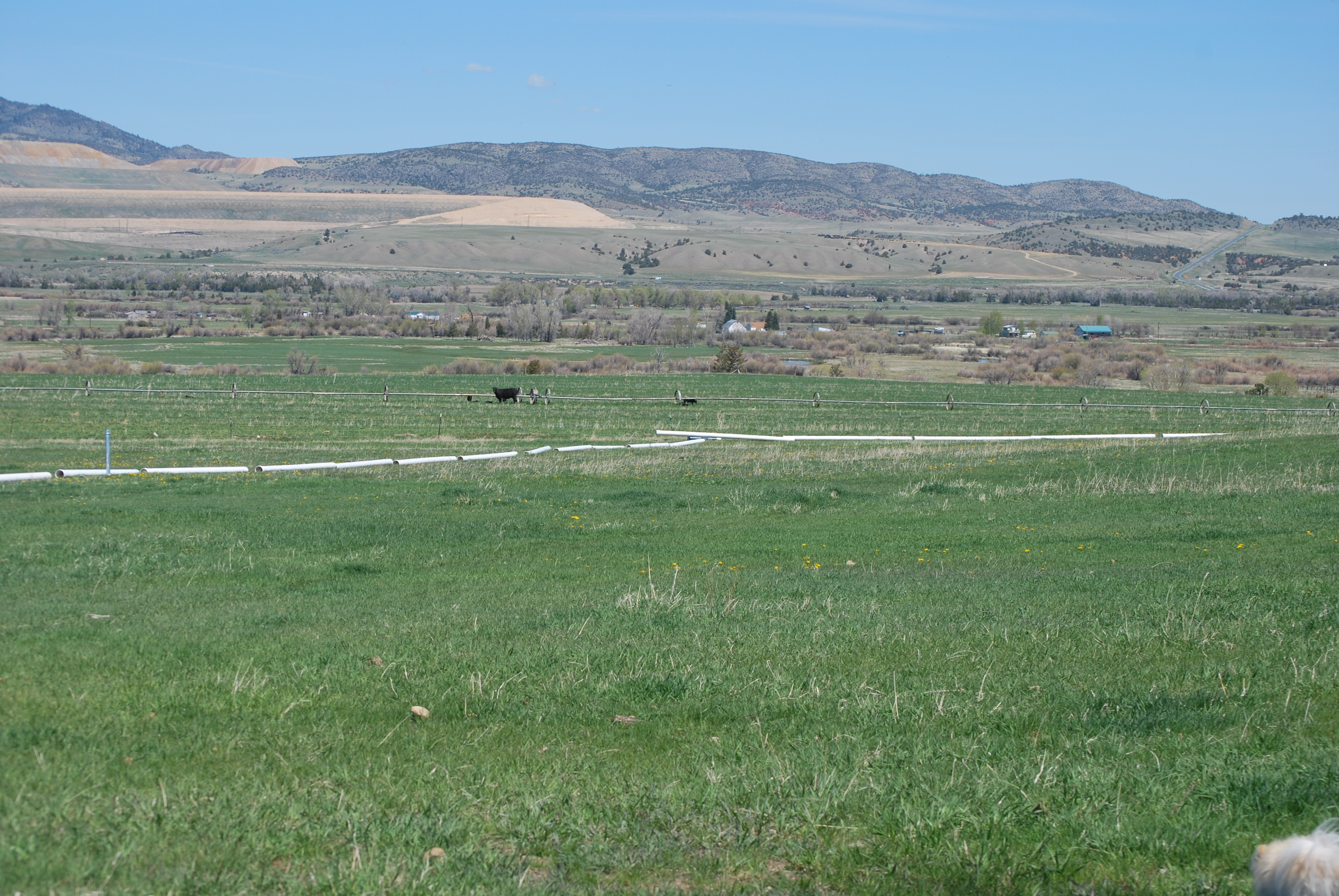 Riley Bday, spring 2016 003