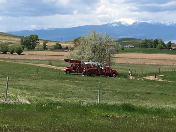 spring 2016, play, track, cattle 269