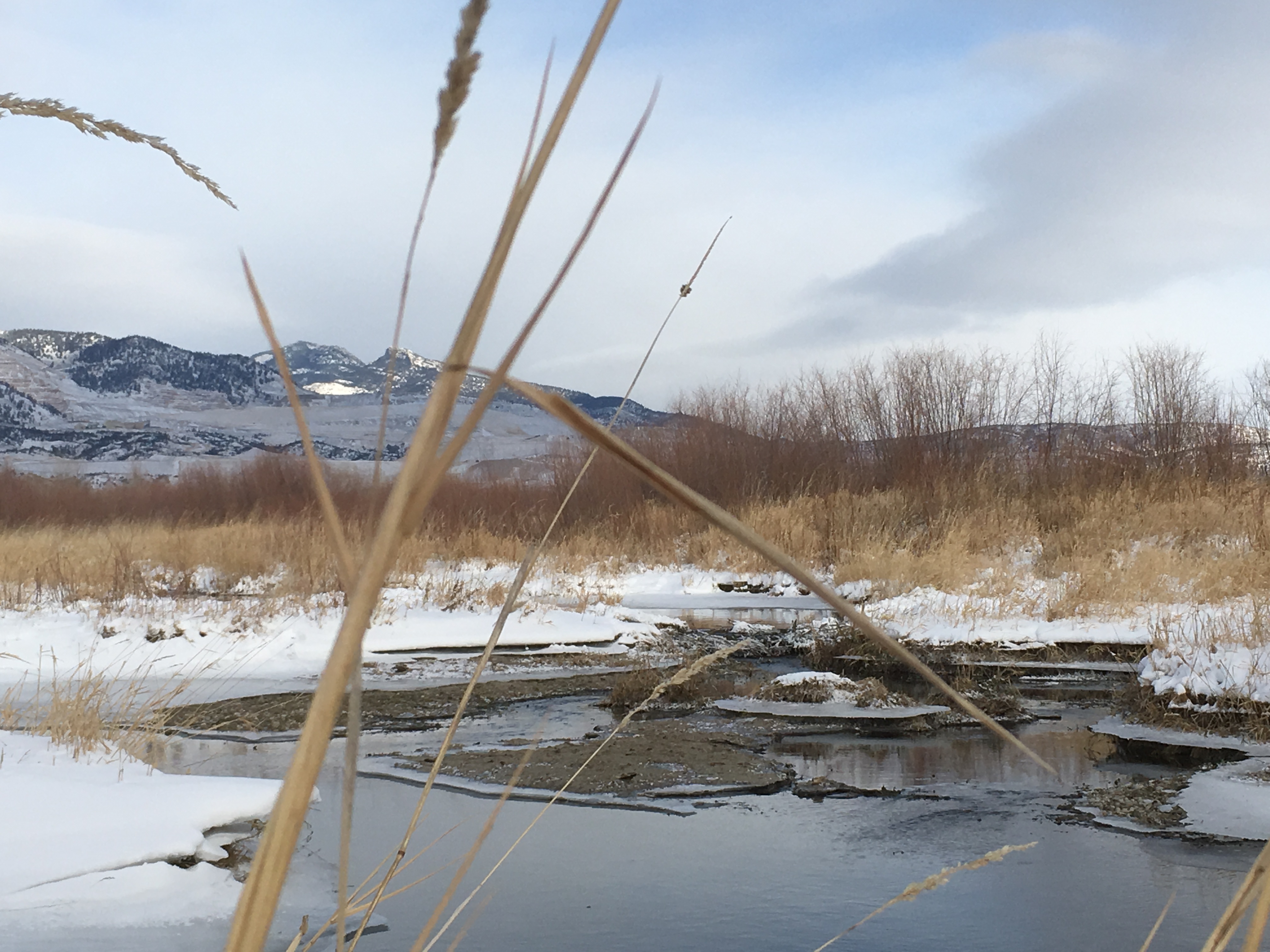 Photo by Katie Whitehurst