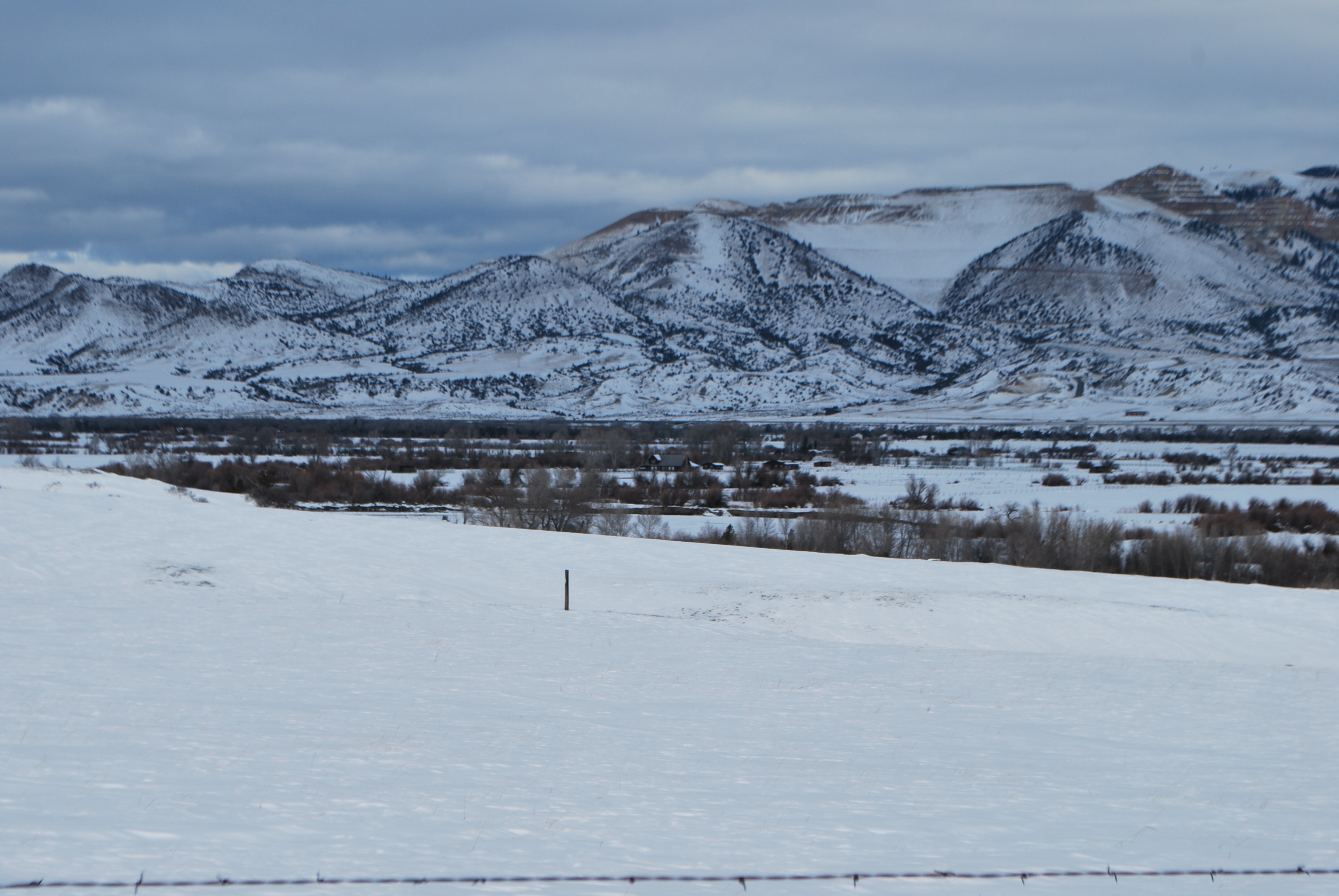 perspective shots jan 15, 2016 017