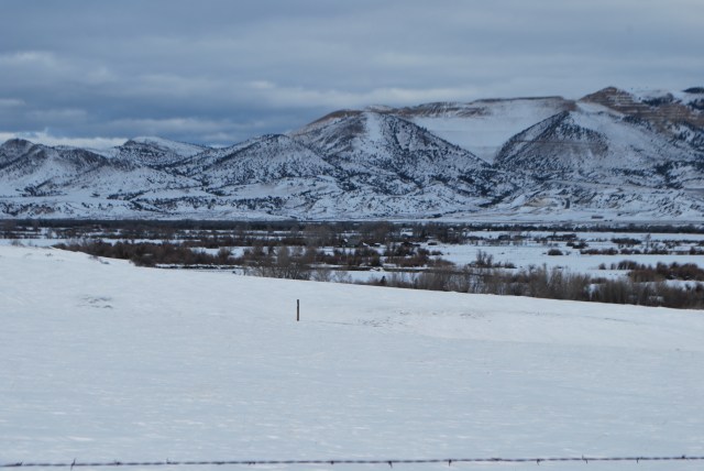 perspective shots jan 15, 2016 017