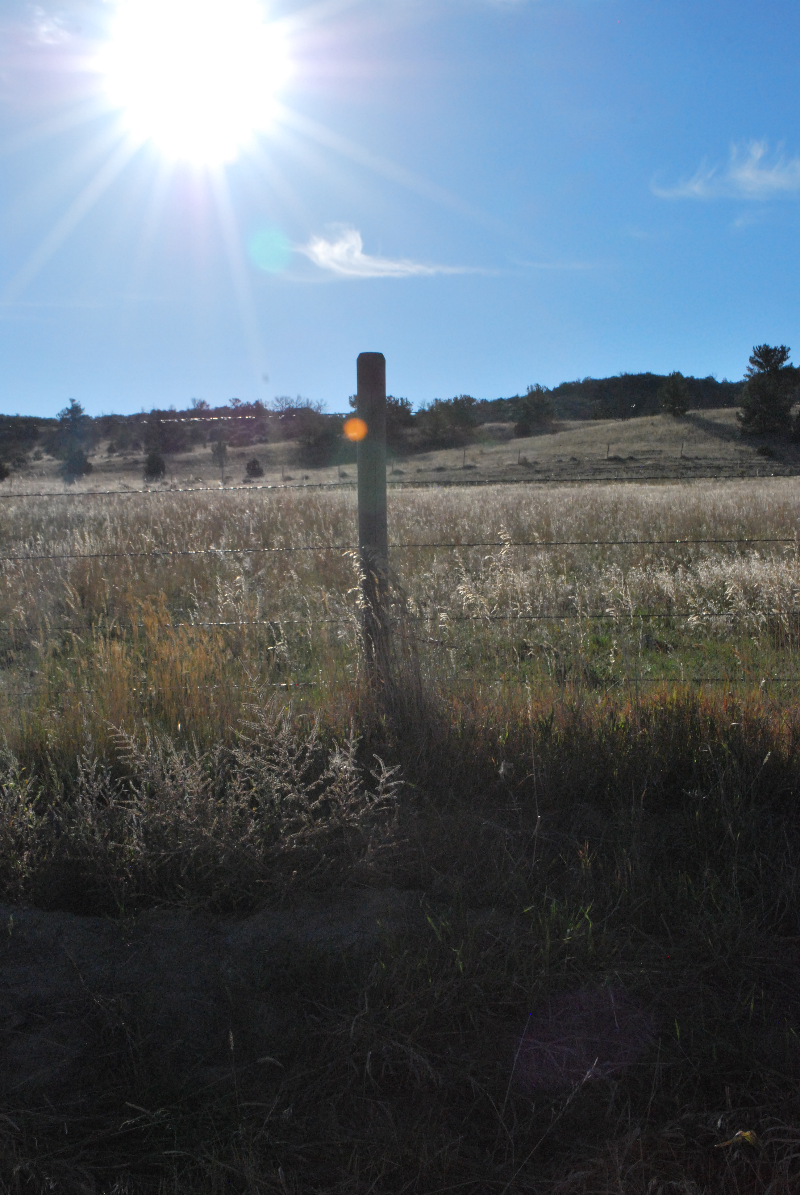 Mags 8th grad, summer, ranch photos 197