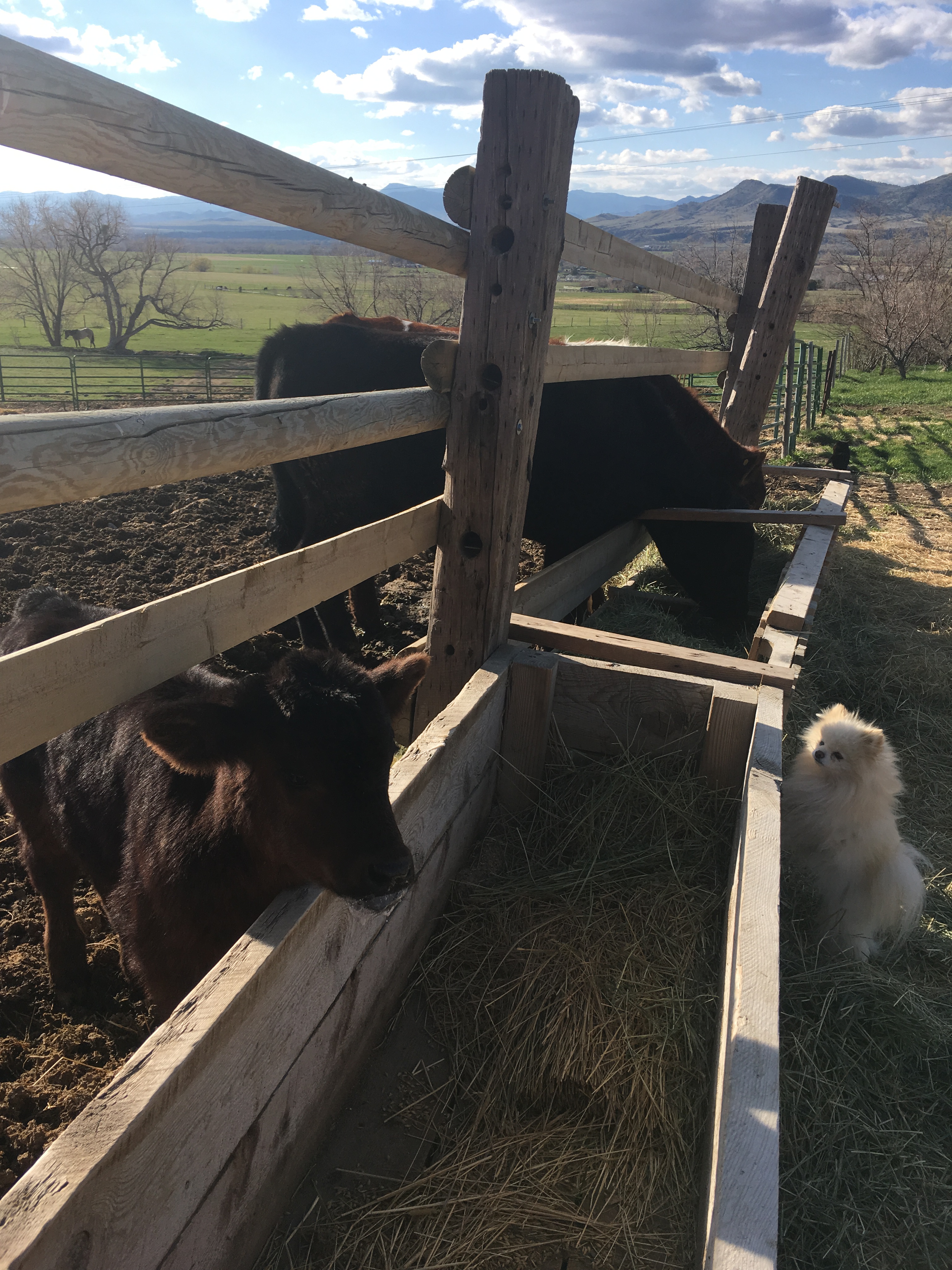 just like the big boys